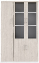 WC58 Parti 玻璃門儲物文件櫃