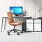 GT001-L Amola Zhongkou Executive Leather Class Chair｜German Design Master Series