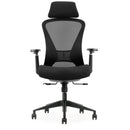 KH-220 Full Function Ergonomic Office Chair