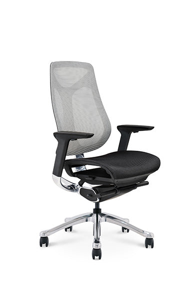 GT007A-L IMOVE ergonomic office chair with mid-back full mesh fabric Computer chair｜Ergonomic Office Chair